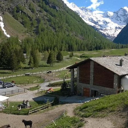 קונייה La Ferme Du Grand Paradis מראה חיצוני תמונה