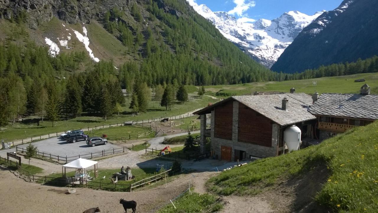 קונייה La Ferme Du Grand Paradis מראה חיצוני תמונה